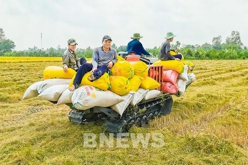Nghị quyết 120: Thay đổi tư duy sản xuất của người dân ĐBSCL