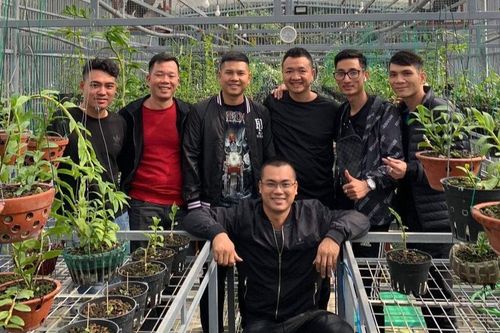 Nghệ nhân Hoàng Hữu Trung: Hướng dẫn cách chăm hoa phong lan cho người mới trồng