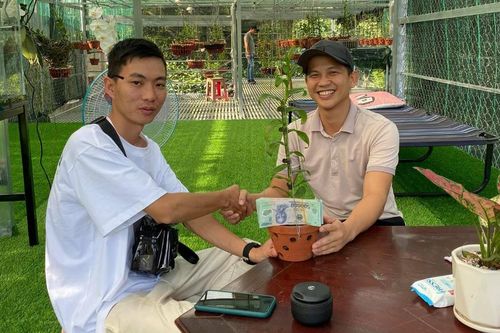 Nguyễn Minh Quân: Từ anh phụ xe đến chủ vườn lan tiền tỷ