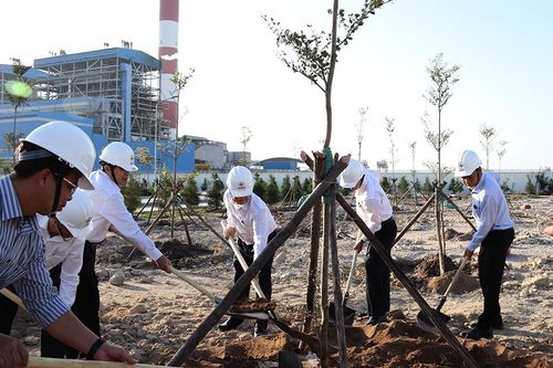EVNGENCO3 hưởng ứng phong trào Tết trồng cây 2021
