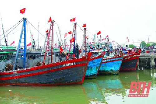 Cấp giấy phép khai thác hải sản cho 2.181 tàu cá