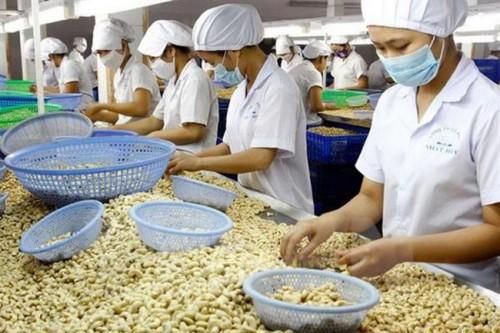 Xuất khẩu hạt điều 2 tháng đầu năm 2021 đạt 442 triệu USD