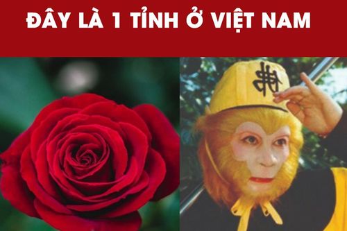 Đố mẹo: Đây là tên của tỉnh nào?