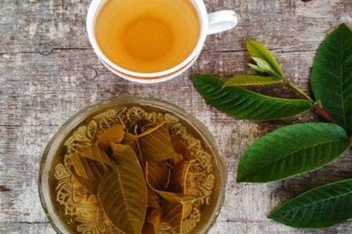 Uống nước lá ổi, lá sen, nước mía ớt chuông... trong 7 ngày giảm luôn 3kg: Chuyên gia nói hãy quên ngay suy nghĩ này đi!