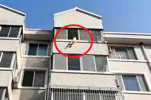 Cứu bé 5 tuổi đu ngoài cửa sổ ở Trung Quốc