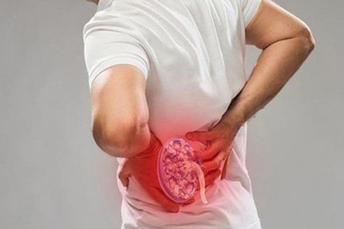 Thuốc cho người thận yếu và sinh tinh
