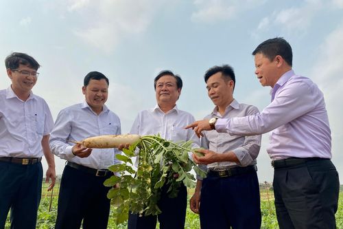 Câu chuyện 'Ngôi làng thần kỳ' và thông điệp cho phát triển nông sản