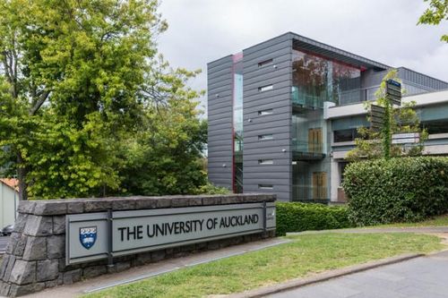 New Zealand: 700 nhân viên trường đại học mất việc do giảm du học sinh