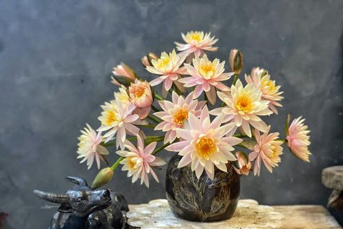 Cách dưỡng và cắm hoa súng đẹp 'vạn người mê' của mẹ đảm ở Hà Nội