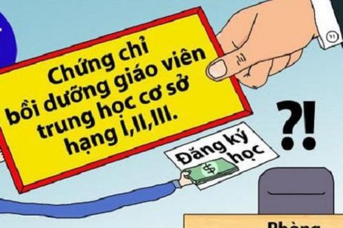 'Chứng chỉ chức danh nghề nghiệp không có lỗi, nhưng…'