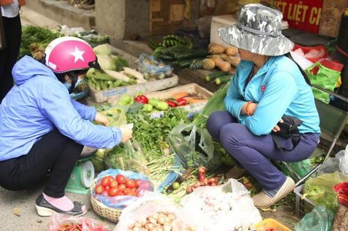Giá rau xanh ở Hà Nội tăng sau thời gian 'giải cứu nông sản'
