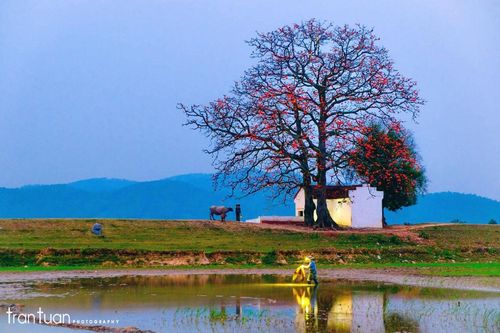 Thợ ảnh bị hai thanh niên đánh vì nhắc nhở việc dùng gậy đập hoa gạo
