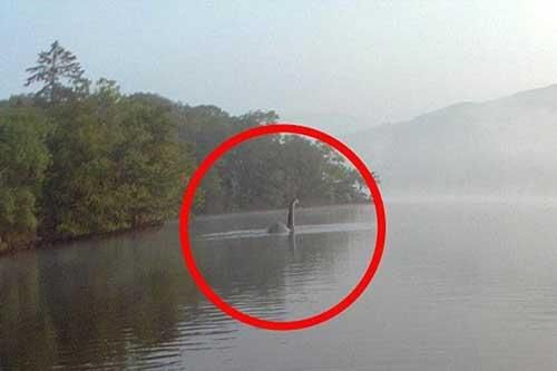 Thực hư bức ảnh chụp 'quái vật' hồ Loch Ness bơi tới Anh