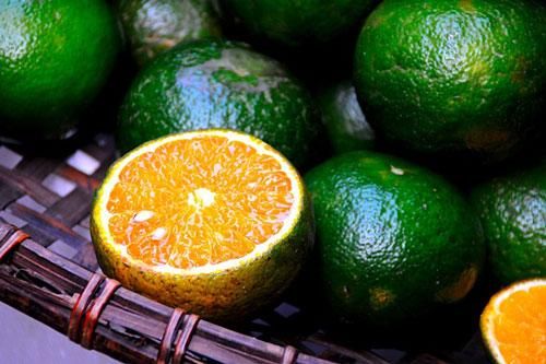 Cách đơn giản nhất giữ cam tươi lâu, không bị khô nước