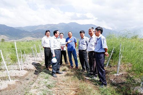 Khảo sát mô hình nông nghiệp tại Ninh Hòa
