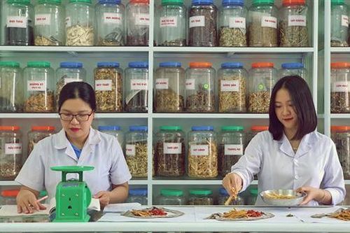 Nâng cao hiệu quả khám, chữa bệnh đông y