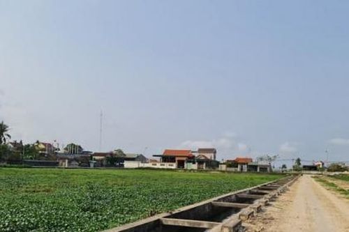 Nghệ An: Vì sao huyện Quỳnh Lưu ra văn bản dừng ngay việc tổ chức đấu giá 23 lô đất?