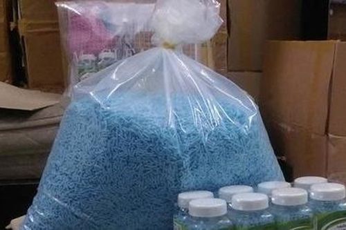 Xét xử 'tập đoàn gia đình' sản xuất buôn bán thuốc và thực phẩm giả