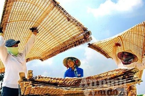 Miến dong - trăm vạn món ngon