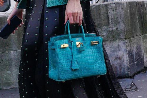 Hermès sẽ làm túi Birkin từ nấm