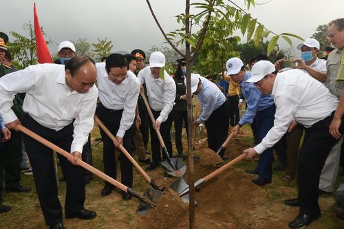 Chùm ảnh: Thủ tướng dự Lễ hưởng ứng chương trình trồng 1 tỷ cây xanh