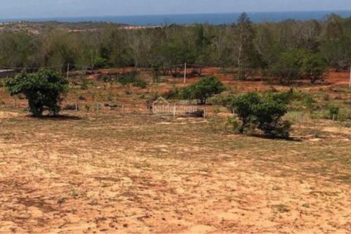 'Cò đất' lượn khắp nơi, giá đất sân bay Phan Thiết tăng chóng mặt