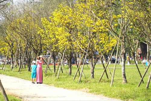 Mơ một Ngự Bình núi hoa