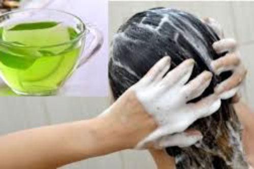 Tóc mọc ầm ầm như 'nấm sau mưa' nhờ thường xuyên gội đầu với thứ này