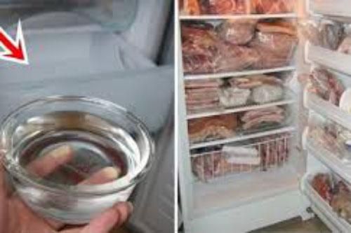 Mẹo cực hay giúp tủ lạnh tiết kiệm điện vừa bảo quản thực phẩm tươi