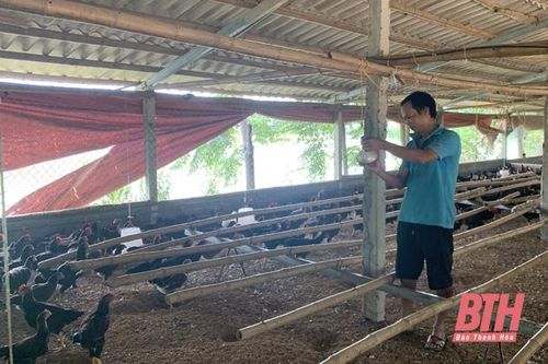 Phòng chống dịch bệnh gia súc, gia cầm