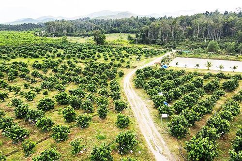 Khánh Vĩnh: Hiệu quả từ các chính sách phát triển kinh tế - xã hội