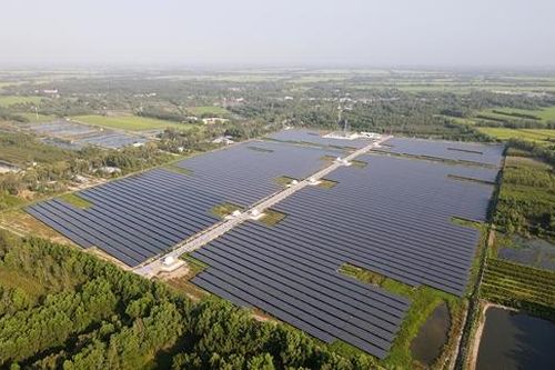 Nhà máy điện mặt trời Hậu Giang chính thức đi vào hoạt động