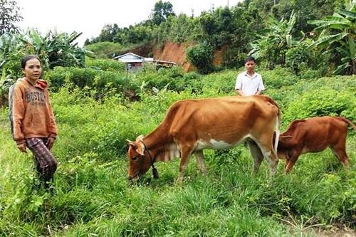 Khởi sắc vùng đồng bào Khmer