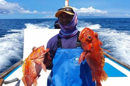 Tàu Trung Quốc vơ vét hàng nghìn tấn cá, mực gần Galapagos