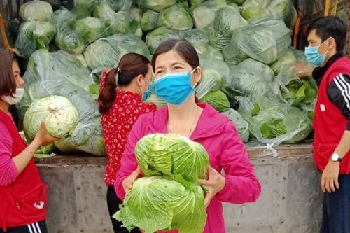 Tiêu thụ hàng chục tấn nông sản cho bà con nông dân Thái Bình