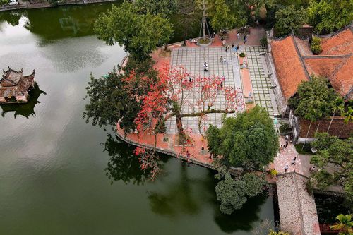 Chùa Thầy mùa hoa gạo thắp lửa