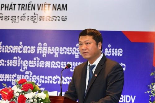 Tân TGĐ Lê Ngọc Lâm BIDV đối diện 'thách thức' gì ở ghế nóng?