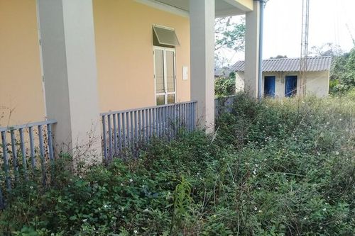 Sau khi sáp nhập xã, nhiều trụ sở để thả bò, cỏ mọc um tùm