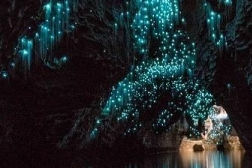 Hang động được thắp sáng bởi... đom đóm