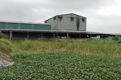 Nghệ An: Nhiều cụm công nghiệp vẫn chưa có hệ thống xử lý nước thải