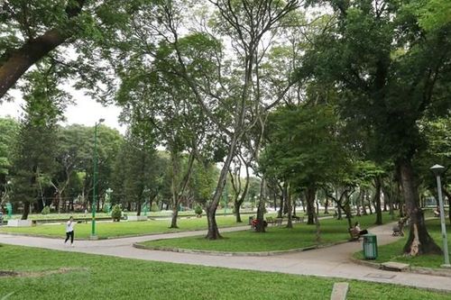 Bảo vệ môi trường: Mô hình trồng hàng triệu cây xanh để khắc phục