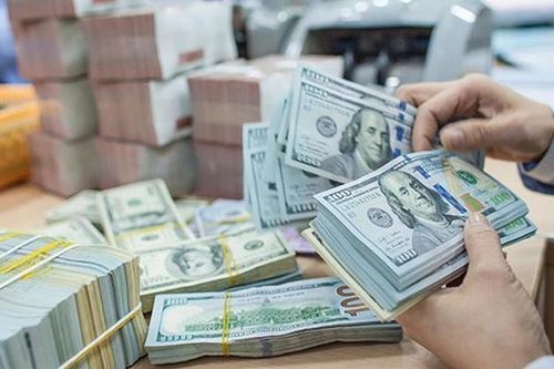 NHNN đã mua 7 tỉ USD từ các ngân hàng thương mại