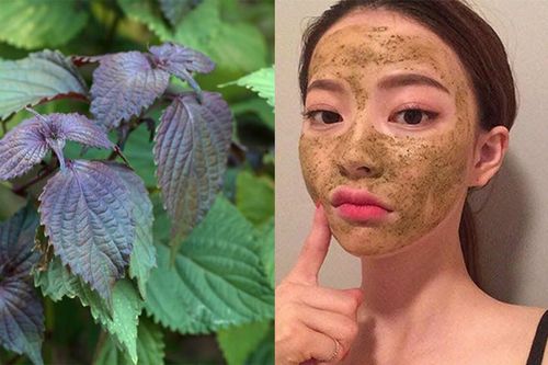 Những cách làm trắng da mặt bằng lá tía tô siêu hiệu quả, giúp U42 trẻ như U24