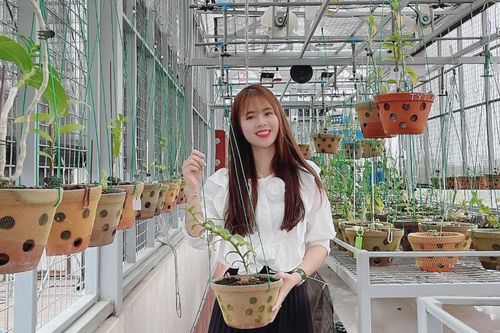 Nghệ nhân Lê Hải Yến và câu chuyện khởi nghiệp làm giàu bằng nghề trồng lan
