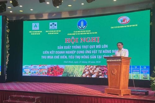 Hiệu quả từ sản phẩm NPK-S hàm lượng dinh dưỡng cao thế hệ mới