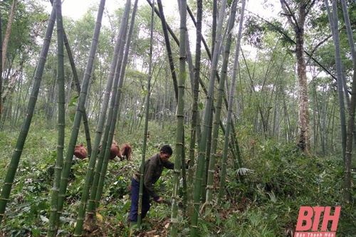 Nâng cao hiệu quả vốn tín dụng phát triển nông nghiệp nông thôn tại huyện Lang Chánh