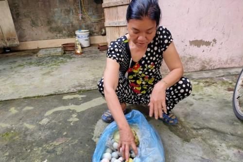 Bể mái ngói, cửa kính vì bóng golf rơi thẳng vào nhà