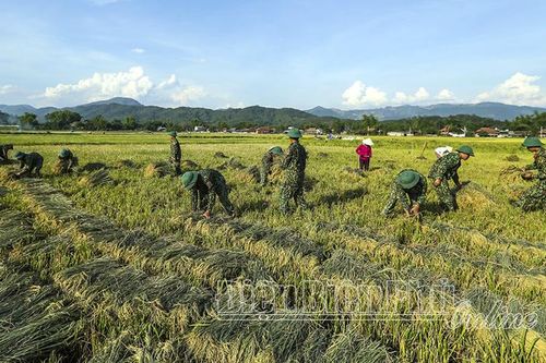 Hiệu quả phong trào thi đua 'Quân đội chung sức xây dựng nông thôn mới'