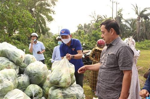 Người dân Quảng Trị chung tay giải cứu nông sản tỉnh Hải Dương