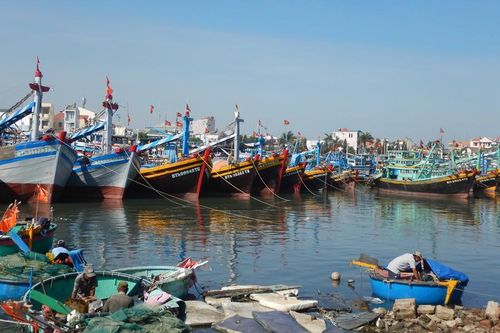 Bình Thuận chấn chỉnh hoạt động thuê tàu thuyền ra biển